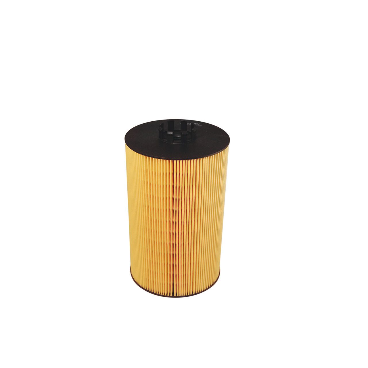 Product Image OE646/2_FILTRON
